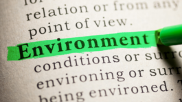 Environment