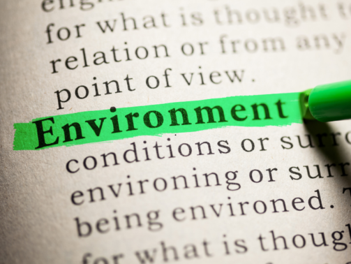 Environment