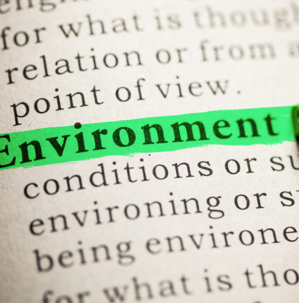 Environment